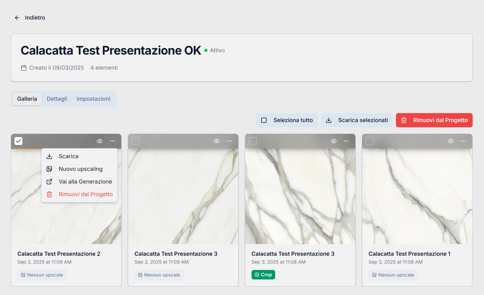 Pantalla Detalle Proyecto